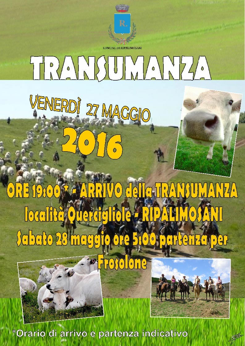 Transumanza 2016