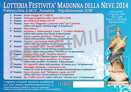 biglietto-lotteria-madonna-2014 t