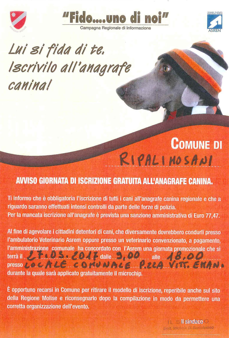 locandina-fido.jpg