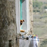 INCONTRO NEL BORGO DI RIPALIMOSANI Rossella De Rosa