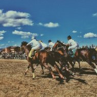 PALIO 2016….VIAAA!! - Marco D'Alessandro
