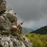 Concorso Fotografico Lefra 2018