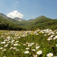 54_PAESAGGIO-PRIMAVERILE-a-Valle-Fiorita